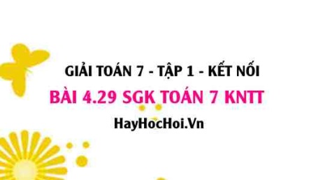 Bài 4.29 SGK Toán 7 tập 1 Kết nối tri thức